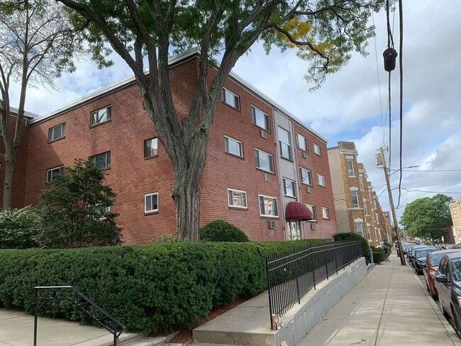 Primary Photo - 239 Kelton St