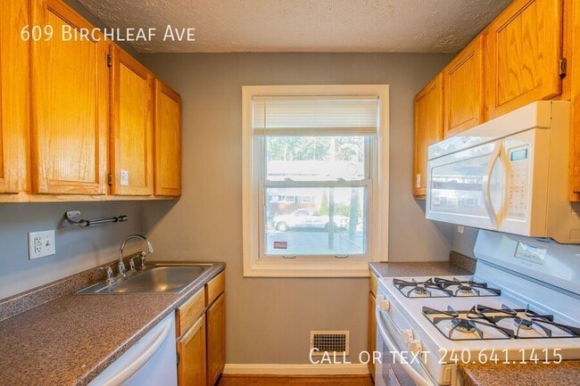 Building Photo - 609 Birchleaf Ave