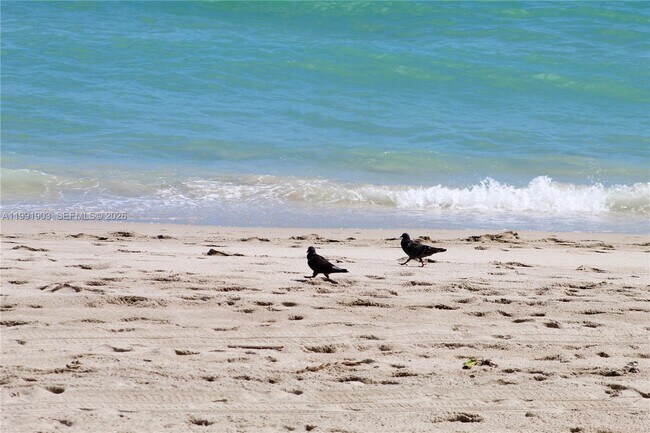 Building Photo - 2030 S Ocean Dr