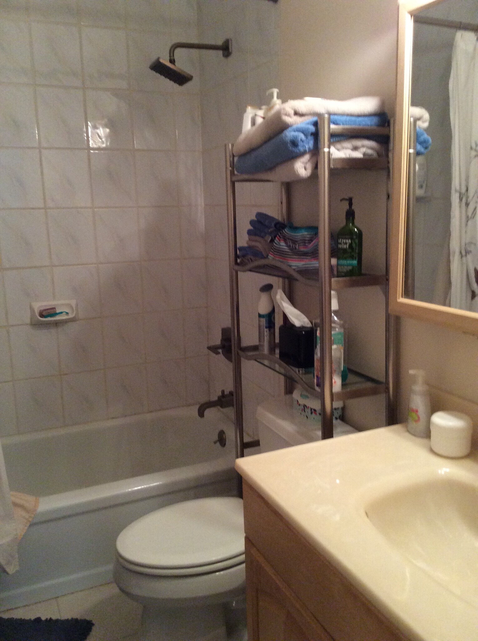 Bathroom - 423 Lawrence Rd