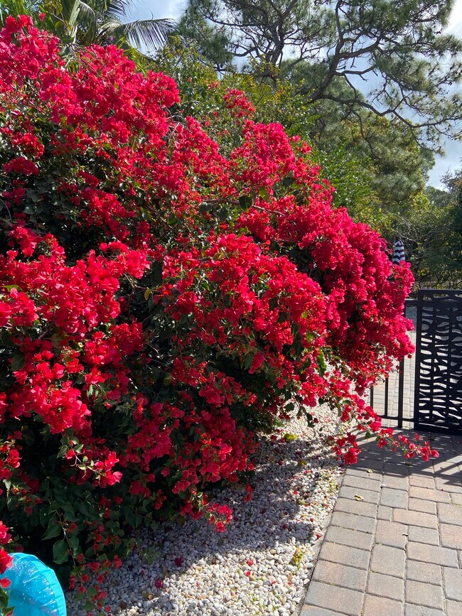 Building Photo - 4400 Vanda Dr