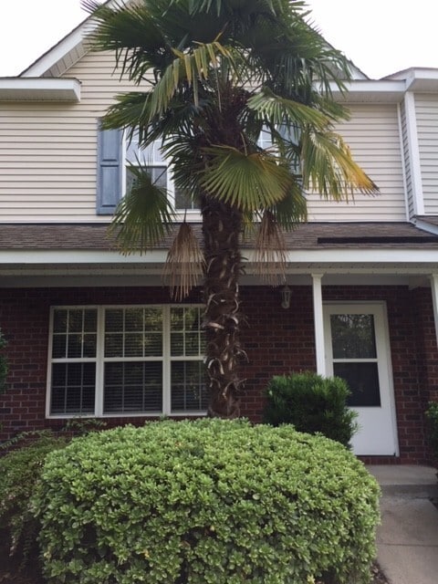 Building Photo - Oak Bluff Townhome