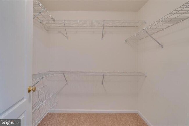 Building Photo - 20024 Northville Hills Terrace