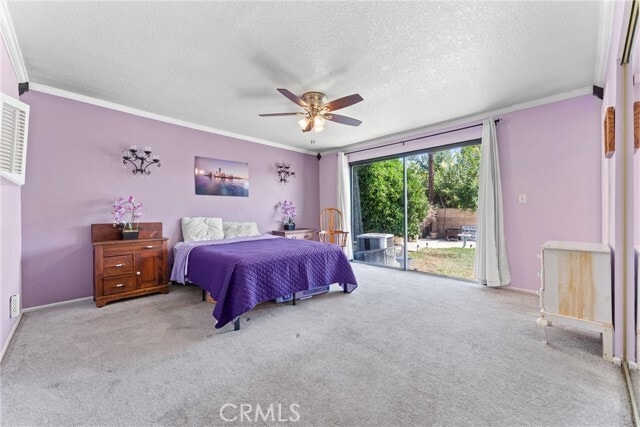 Building Photo - 942 Oleander St