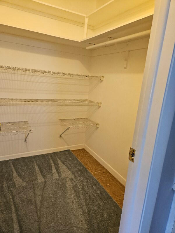 Building Photo - 277 W High Point Ct