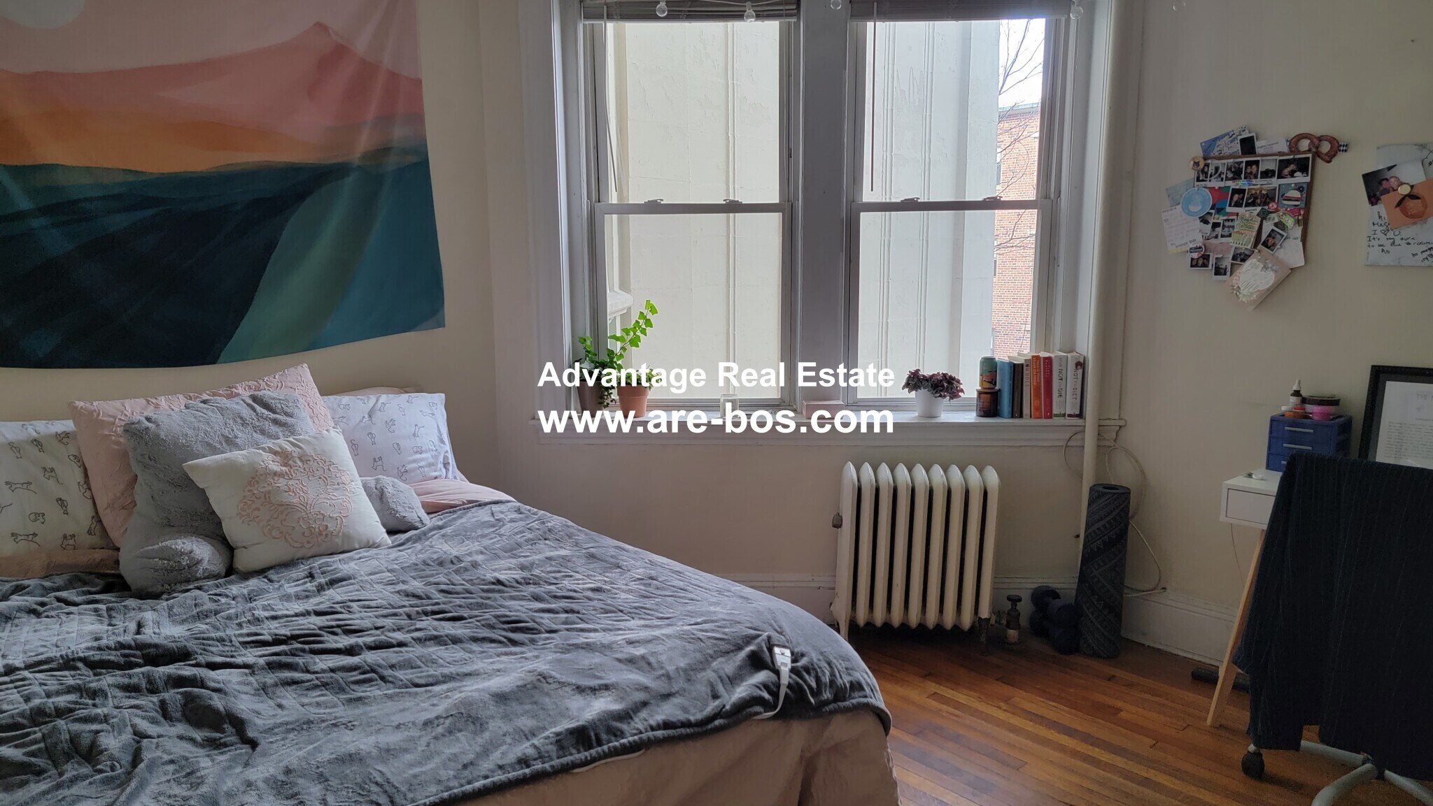 Building Photo - 60 Egmont St