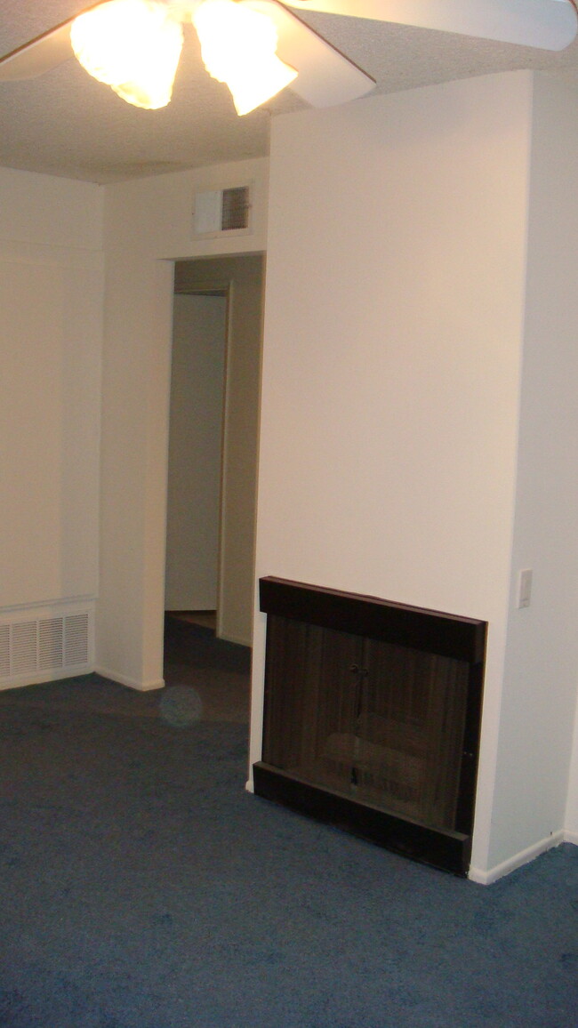 Fireplace in livingroom (now has hardwood laminate flooring) - 2870 N Cottonwood St