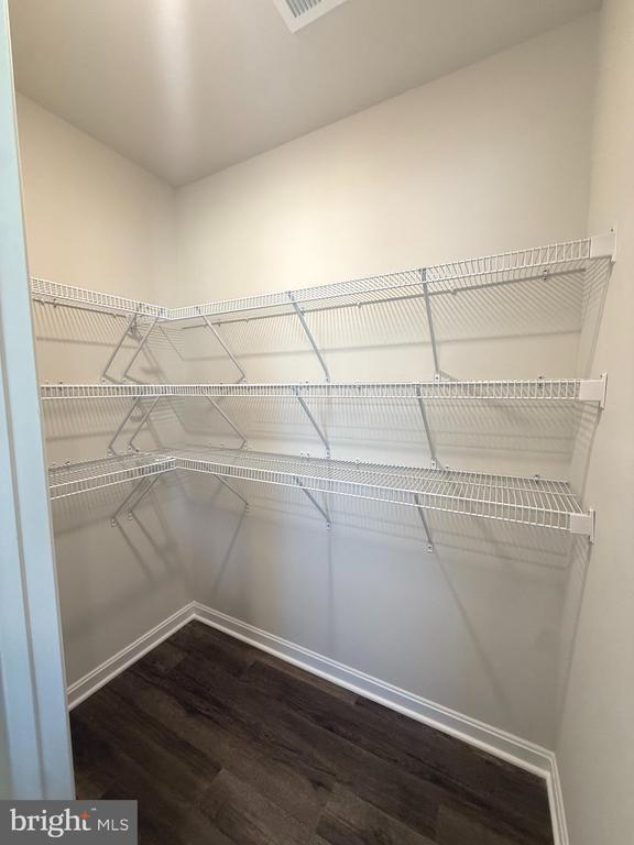 Building Photo - 345 Anconas Blvd