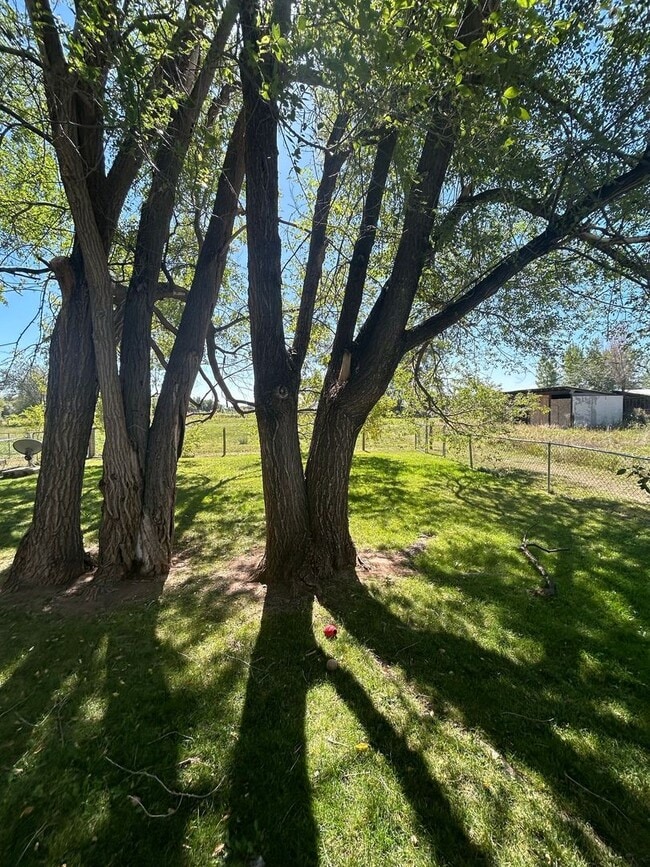 Building Photo - Nice Duplex in N.W. Ft. Collins