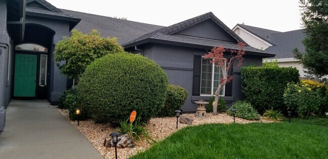 Building Photo - 3019 Rush Creek Ct