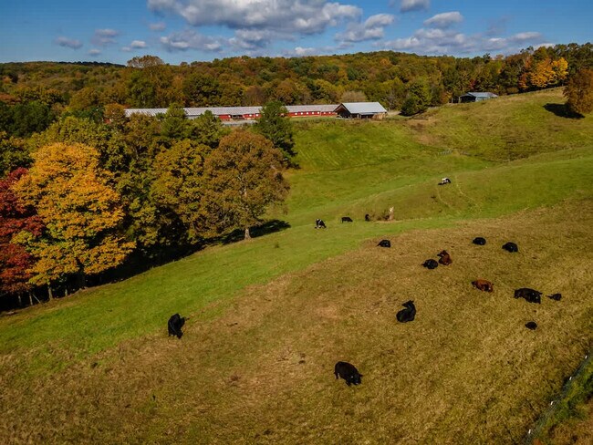 Building Photo - 299 Westview Dr