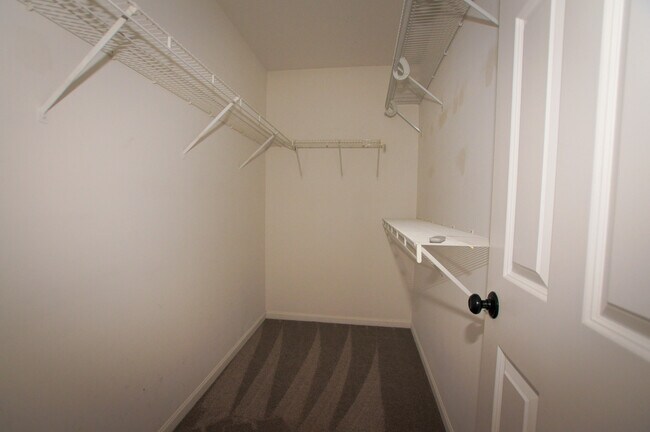 Building Photo - 1415 Wesley Ct