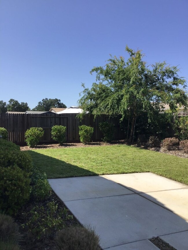 Building Photo - Beautiful home Near bus/transportation for...