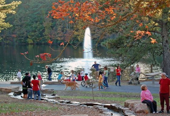 Sims Lake Park - 387 Ayelsbury Ct