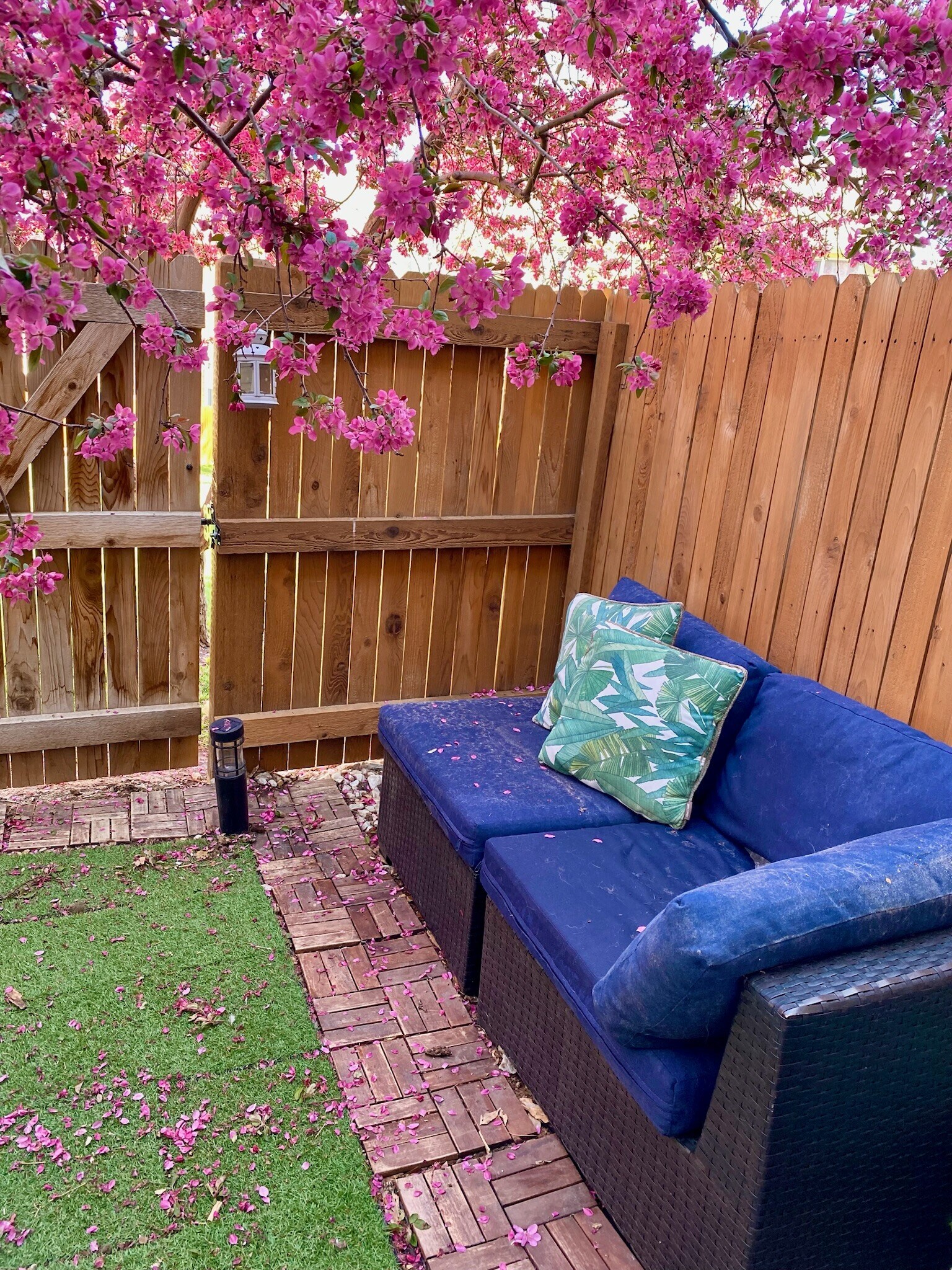 Shaded back patio with low maintenance furniture and 'lawn' - 9056 Gale Blvd