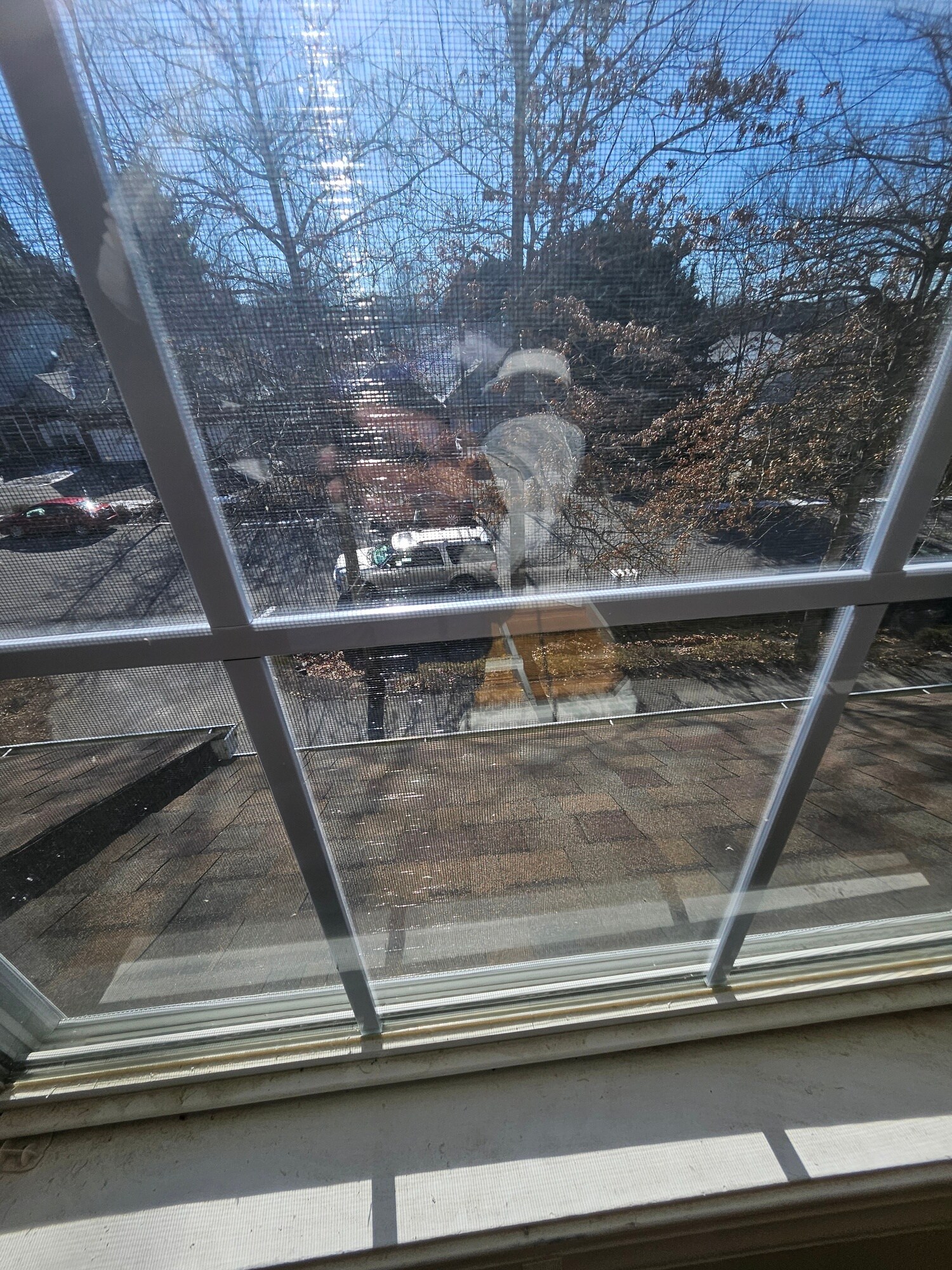 Building Photo - 545 Silver Leaf Dr