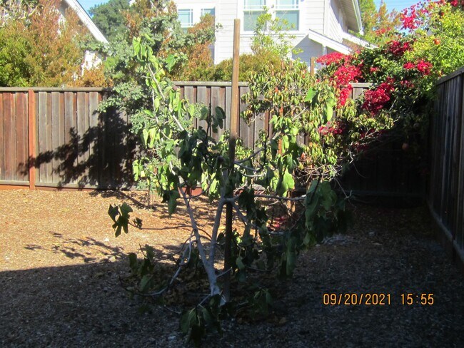 Building Photo - 408 Flora Vista Ave