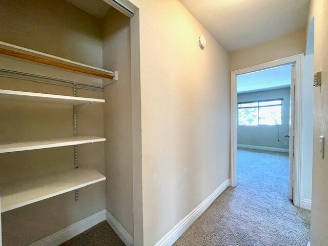 Building Photo - 10186 Camino Ruiz