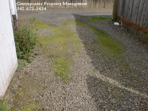 Building Photo - Orrf723.5