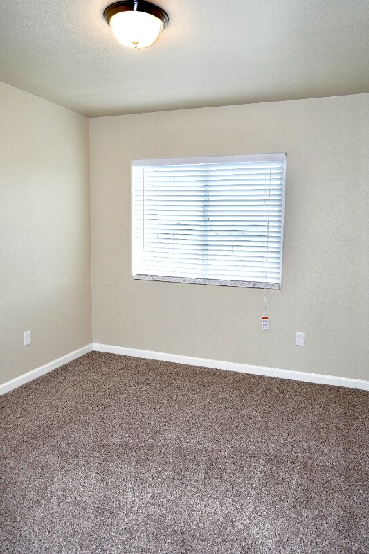 Building Photo - 5609 Shamrock Heights