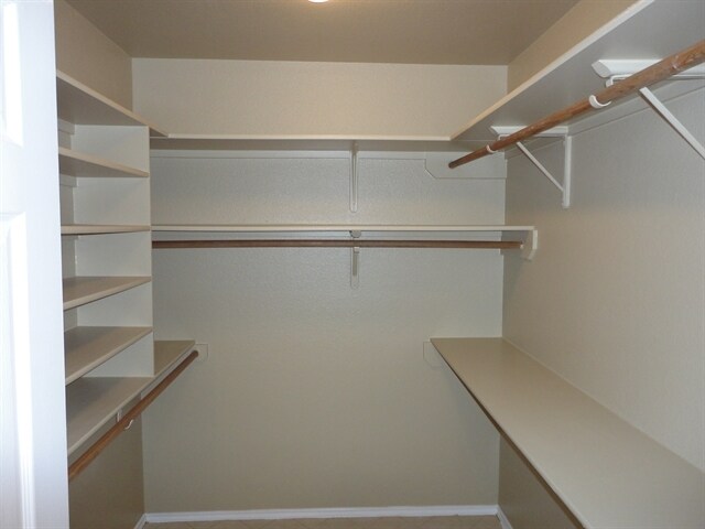 Building Photo - 911 Kirtomy Loop