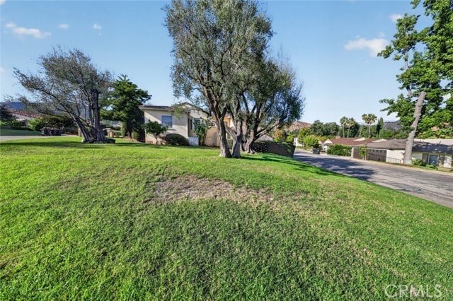 Building Photo - 1233 Imperial Dr