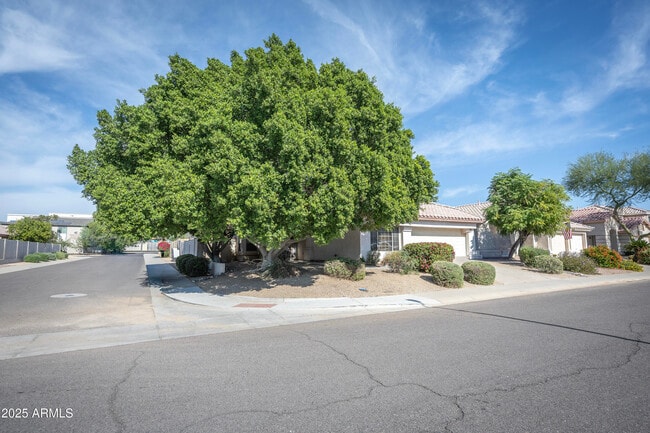 Primary Photo - 3844 E Kings Ave