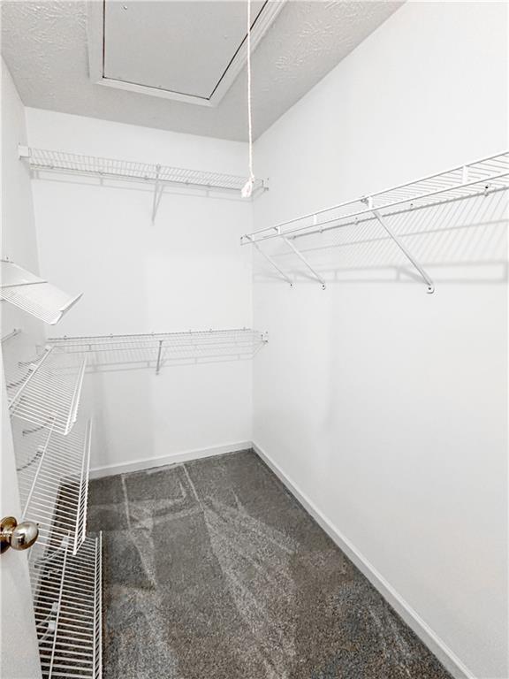 Building Photo - 3955 Hidden Hollow Dr