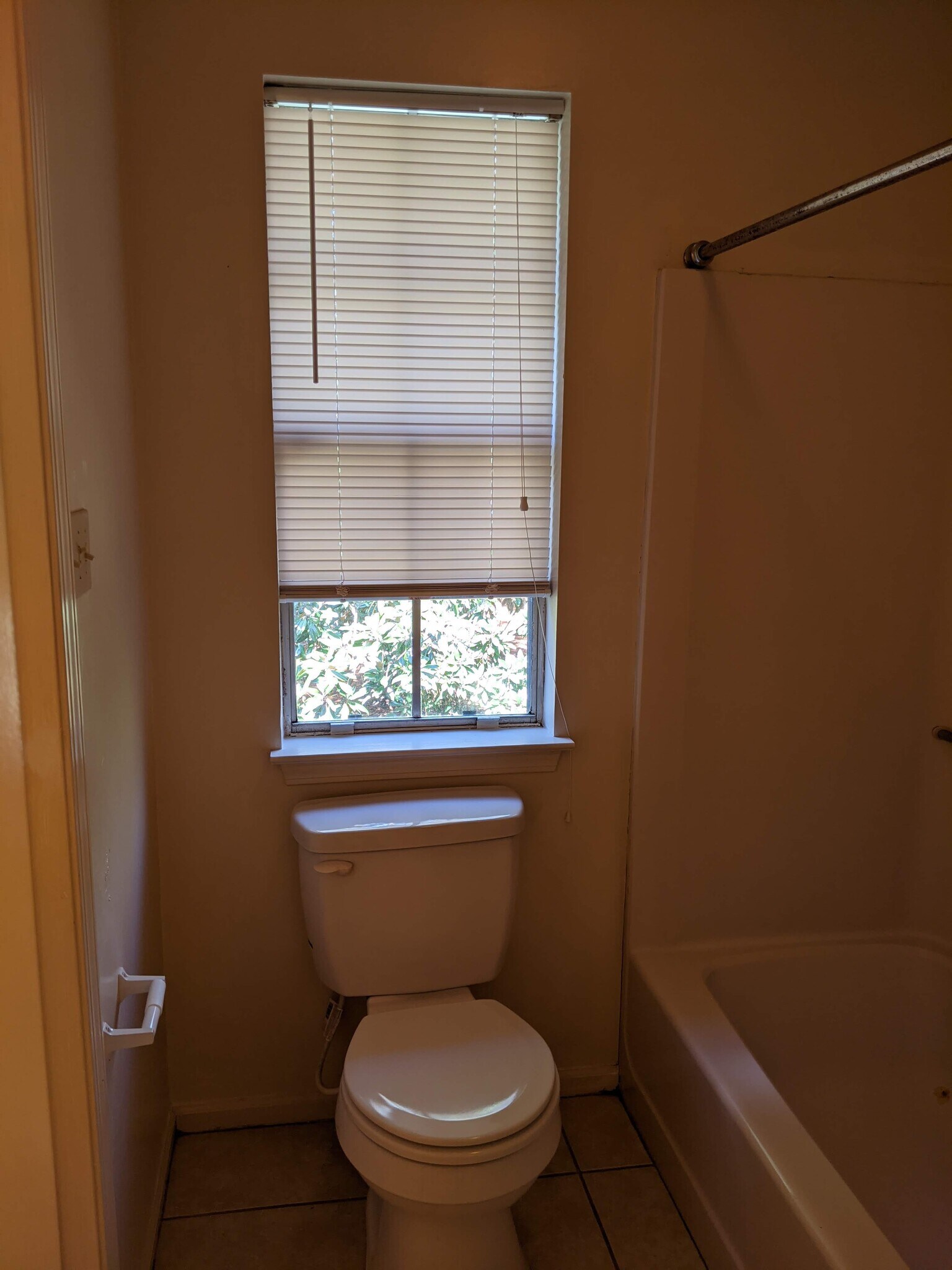 Tub/Shower and Toilet Area - 16643 Missionary Ridge Ct