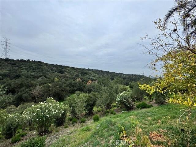 Building Photo - 2142 Iron Club Dr