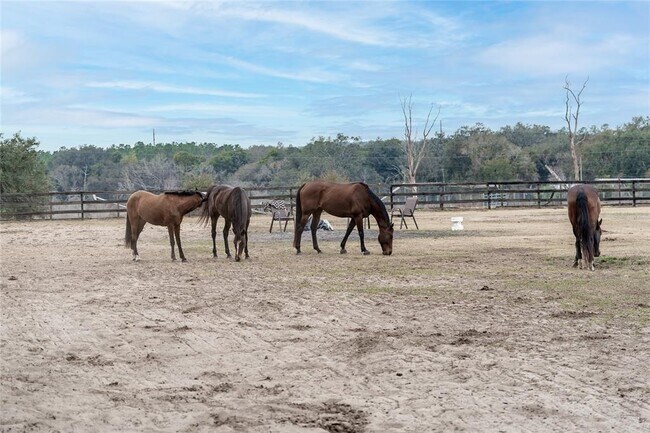 Building Photo - 8540 Boyt Rd