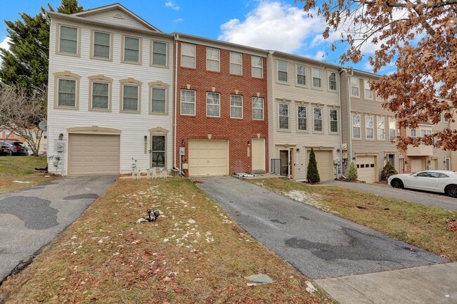 Building Photo - 3902 Cotton Tree Ln