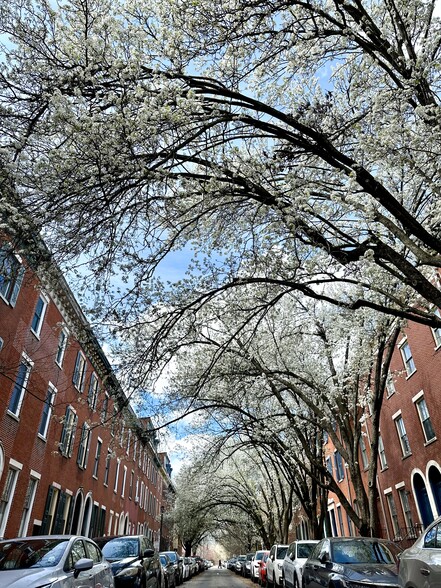 Block view - 1702 Wallace St