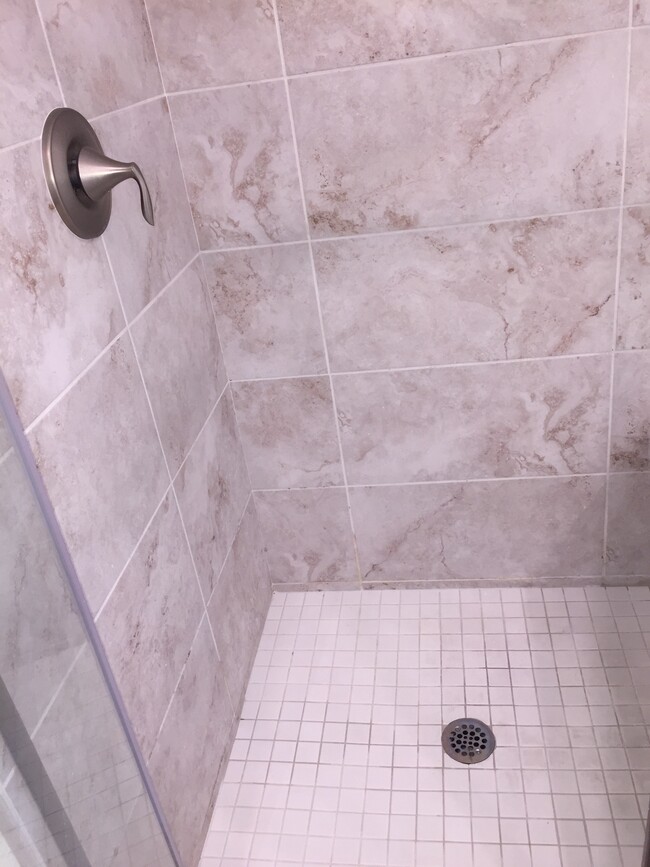 Shower - 1558 Clement Ave