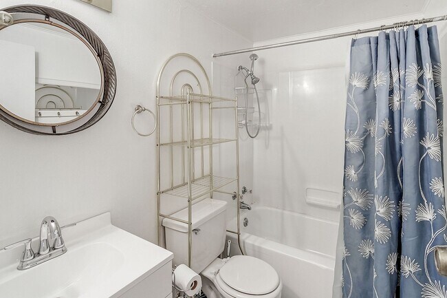 Building Photo - FRISCO! Offered Furnished or Unfurnished! 1 pet negotiable!  An Artist's retreat! Must see.