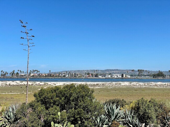 Building Photo - Furnished Beach front House in OB One Month Minimum Rental