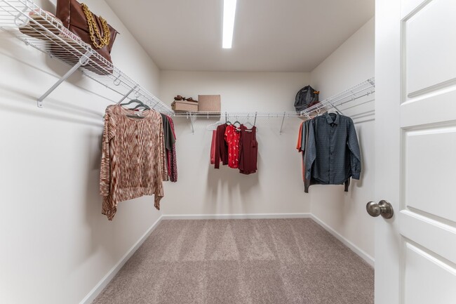 Building Photo - 6118 Buntline Ln