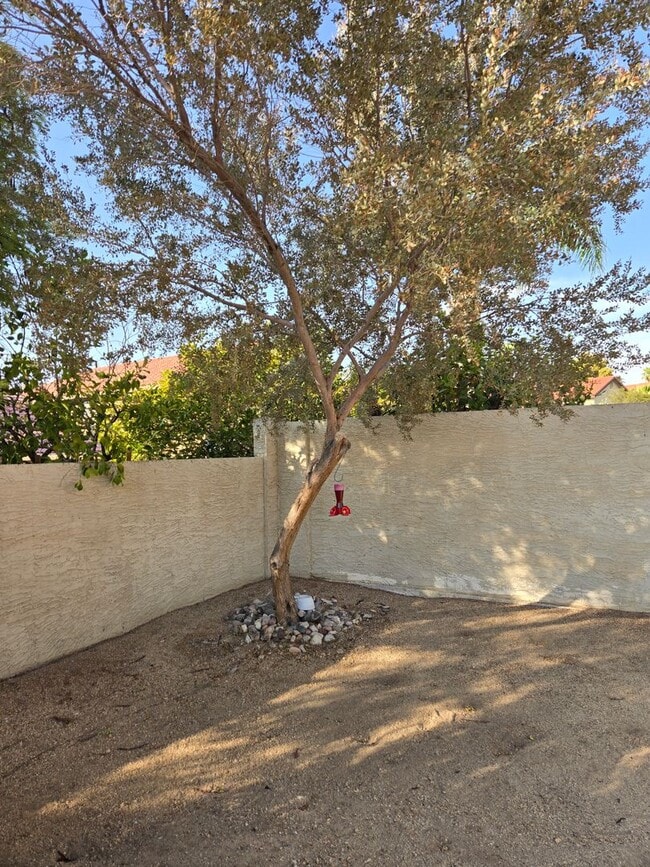 Building Photo - 11246 E Poinsettia Dr