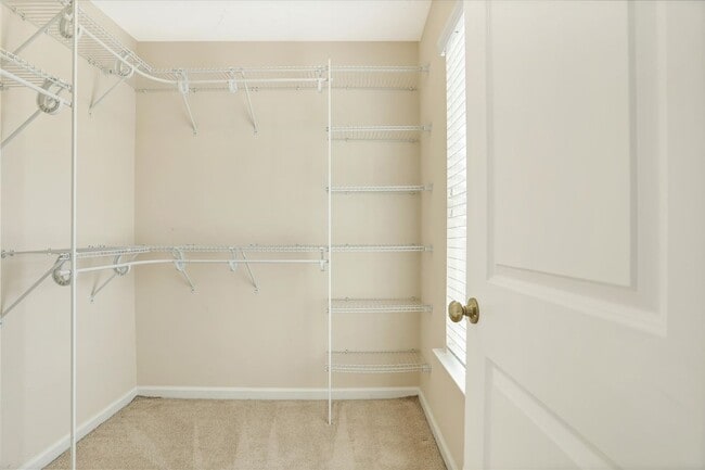 Building Photo - Cute 3 bedroom 2 bath