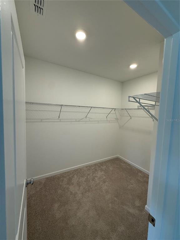 Building Photo - 3066 Chantilly Dr