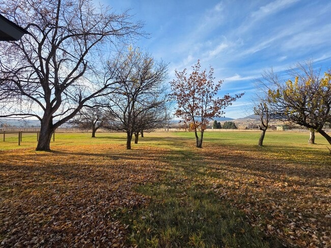 Building Photo - Single level duplex with attached single-c...