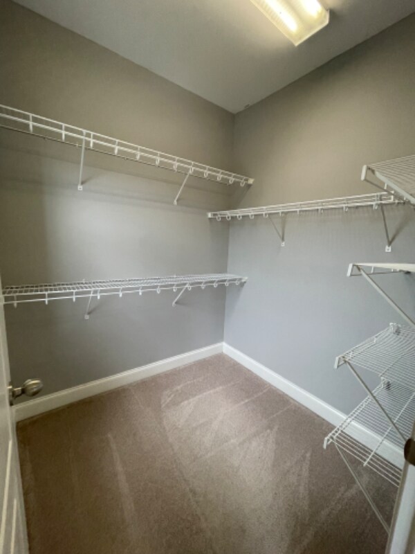 Building Photo - 205 Birdie Ct