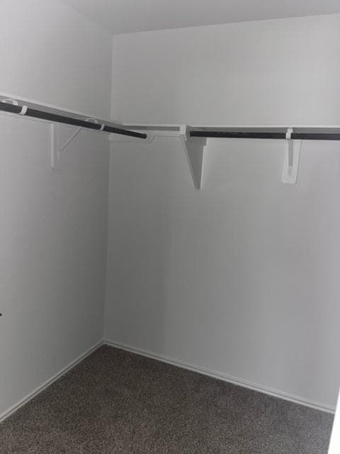 Building Photo - 5403 Tuscany Hills Ln