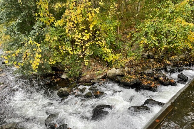 Building Photo - 28 Armstrong Rd