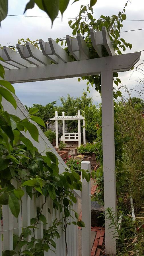 Garden - 829 N Salina St