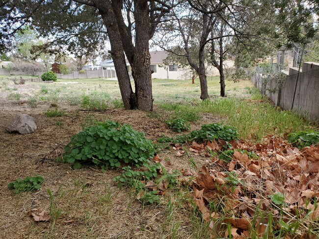 Building Photo - 11519 Morocco Rd NE