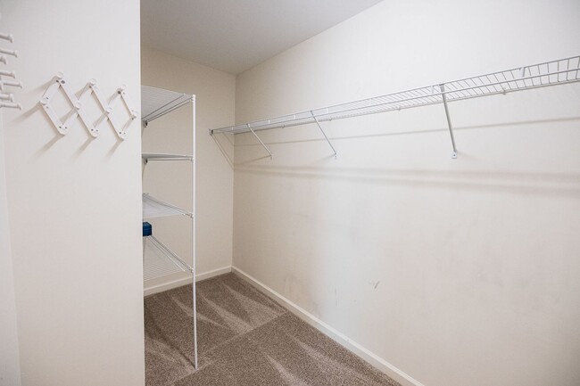 Building Photo - Immaculate beautiful 3-bedroom, 2.5-bath t...