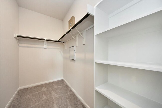 Building Photo - 21814 Ash Cypress Ct