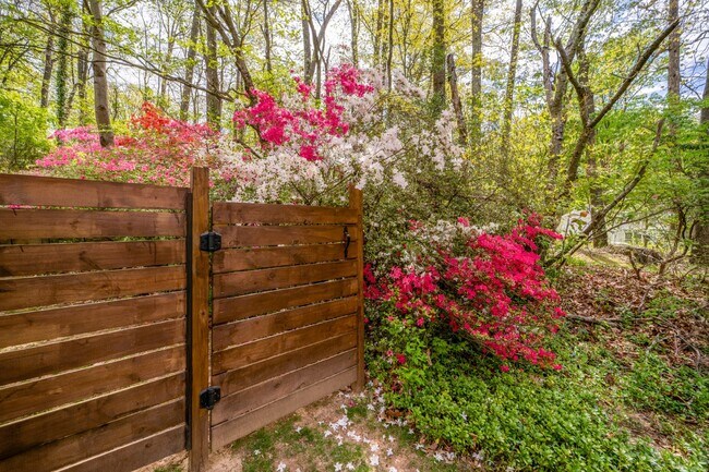 Building Photo - Extensively Renovated 4-Bedroom Home in Prime Location! Unbelievable custom kitchen.