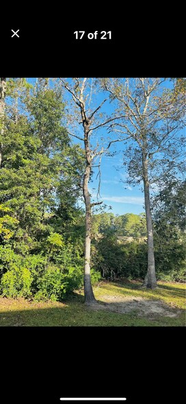 Building Photo - 217 Saint Luke Ct